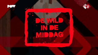 Top 5 over 5: vrouwonvriendelijke moppen door vrouwen zelf!