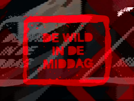 Top 5 over 5: vrouwonvriendelijke moppen door vrouwen zelf!