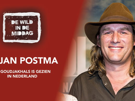 Arjan Postma over toenemend aantal bosbranden: ''Let een beetje met elkaar op de natuur'