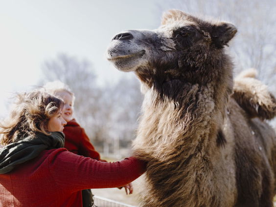 Kameel Shirley test haar voorspellende gave: wint Feyenoord of PSV?