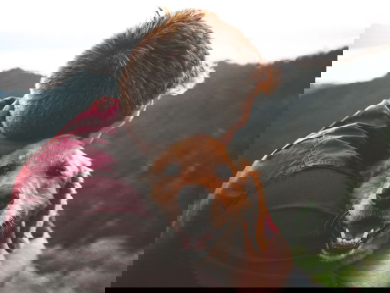 Lilianne helpt met stichting Dierenwelzijn huisdieren van minima-gezinnen