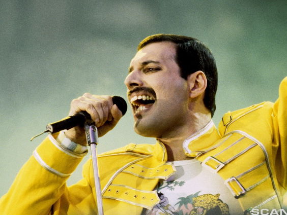 Ode aan een Dode: Freddie Mercury