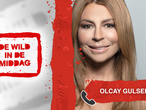 DWIDM: Olcay Gulsen over huiselijk geweld