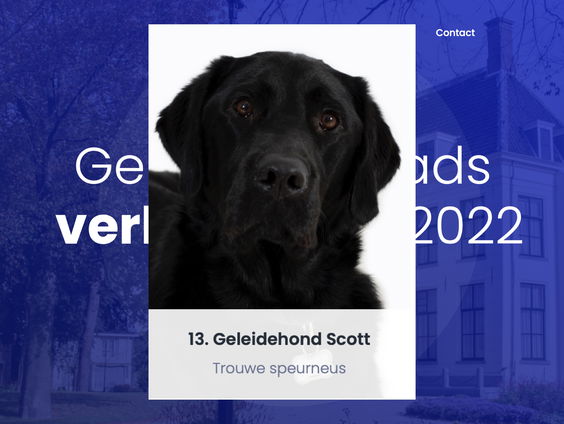 Geleidehond Scott stelt zich kandidaat tijdens de gemeenteraadsverkiezingen