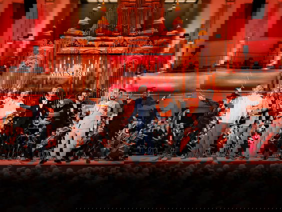 Winnaar Maestro had een spannende finale: "Vloog uit m'n hand"