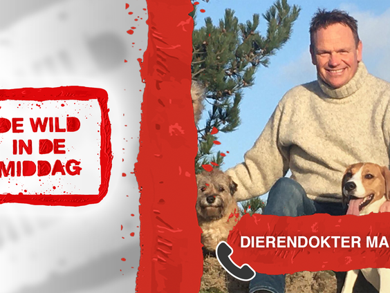 DWIDM: Dierendokter Martin: 'Corona ook vervelend voor dieren!'