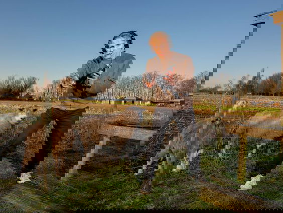 Trouw-journalist Maarten van Gestel over zijn podcast 'De Schrik van Roden'