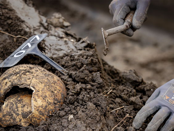 Bijzondere archeologische ontdekking in Groningen: "Al 31 skeletten uit de 15e eeuw gevonden"