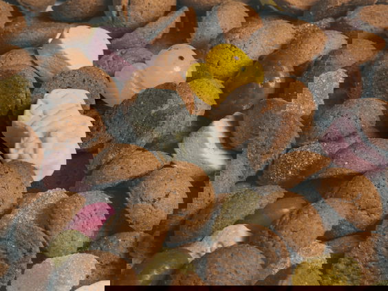 WILDGROEI Sinterklaasspel