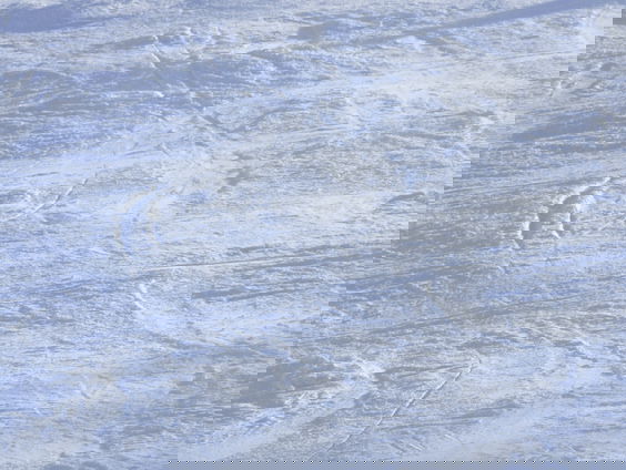 Erik Dijkstra kan wel de hele dag luisteren naar het accent van Sjinkie Knegt