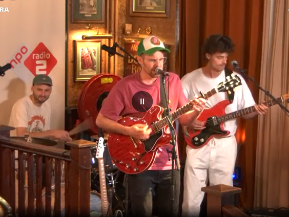 Elephant – Dog in the Park