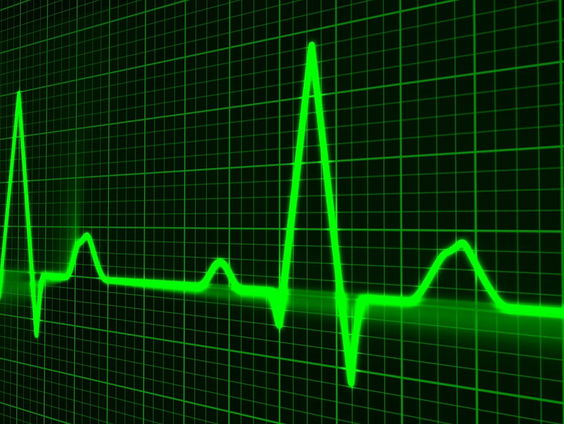 Miranda wint Ig Nobelprijs met onderzoek naar hartslag tijdens dates