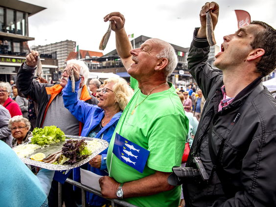 Haringbingo: welke termen worden genoemd in een gesprek over het eerste vaatje?