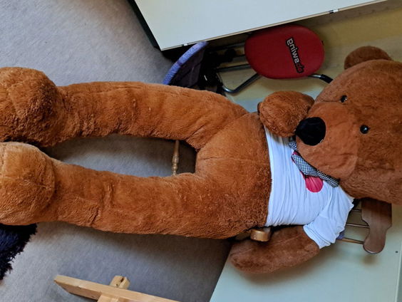 Dini veilt gigantische beer voor KWF