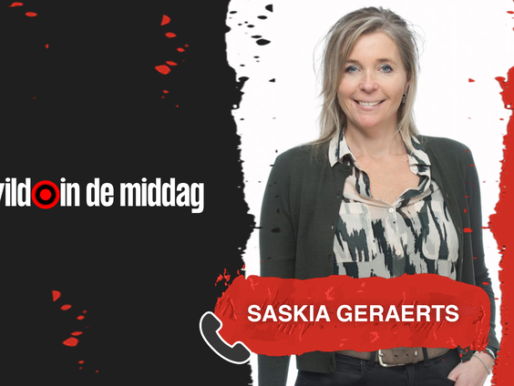 Psycholoog Saskia Geraerts: 'Onverklaarbaar waarom Nick & Simon uit elkaar zijn'