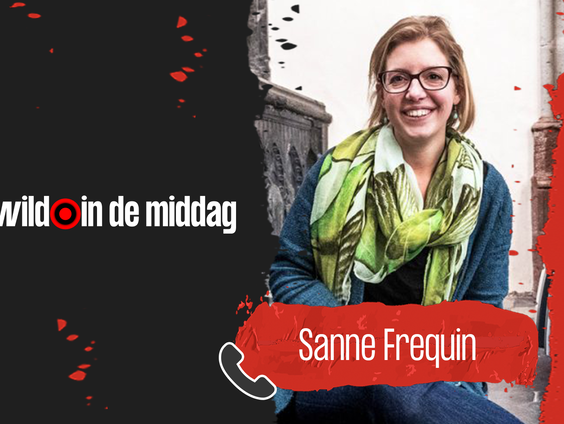 DWIDM: kunsthistoricus Sanne Frequin over besmeurde kunstwerken