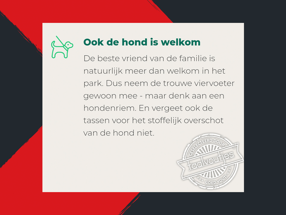 Grappigste Taalfoutje 2023 schrik voor elke hondenliefhebber