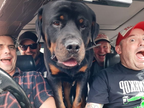 Friese band Hûnekop haalt Top 2000: "Moet toch wel ergens tussen de 10 en de 20 zitten"