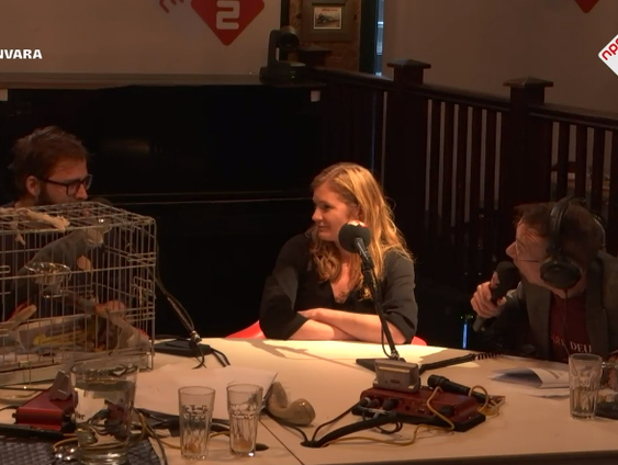 Onderzoek naar zingende papegaaien