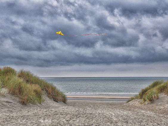 Marijke Boonstra raapt twee weken lang afval op het strand: "Zwangerschapstest, bruidssluier en harde schijf"