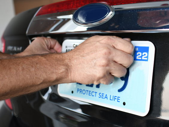 Waarom je niet zelf je kenteken mag kiezen in Nederland