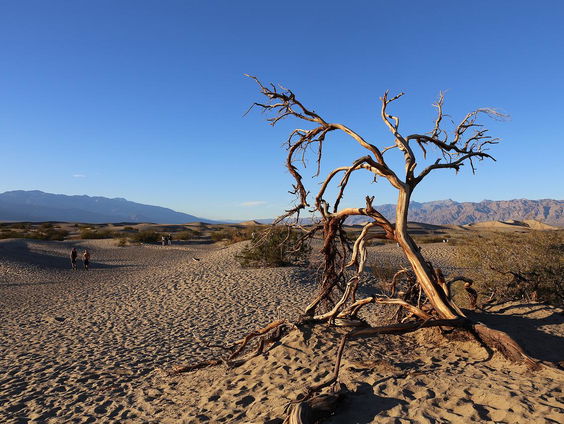 Wateroverlast in Death Valley. Raimond Kranenburg geeft uitleg