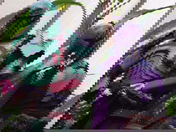 Frank en Charlotte trouwen op Dutch Comic Con, in Star Wars-stijl