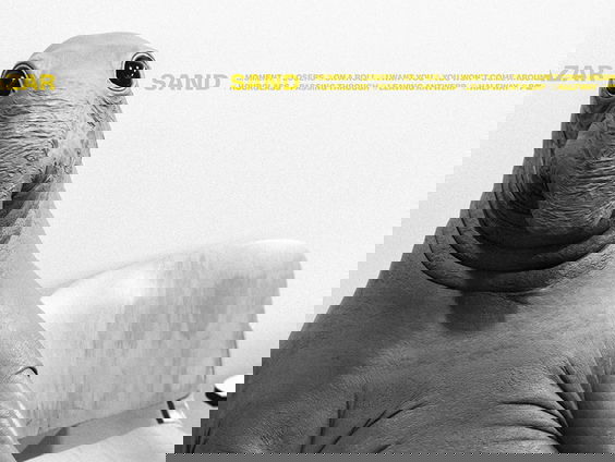 Nieuwe muziek bij Annemieke: Anne Soldaat & Balthazar