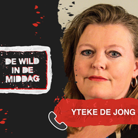 Yteke de Jong over mogelijk nieuw regeringstoestel: "Het komt een beetje de ...
