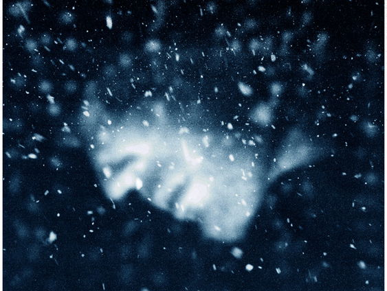 Duncan Laurence scoort NPO Radio 2 TopSong met kersttrack Wishes Come True