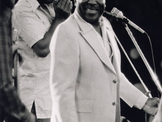 Ode aan een Dode: Muddy Waters