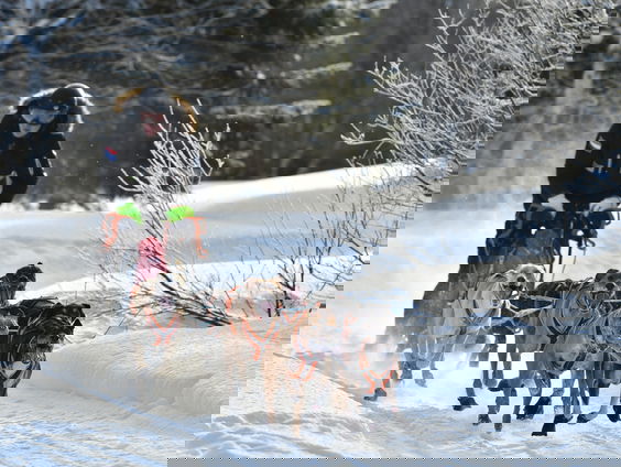 Stefan Donker vertegenwoordig Nederland op het WK sledehondenrennen in Noorwegen