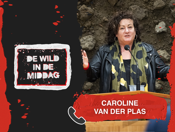 Caroline van der Plas: "Over 5 jaar is BBB de grootste partij van Nederland"