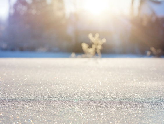 Weerman Dennis Wilt waarschuwt: "Zou me niet verbazen als sneeuw in oosten en zuidoosten dik wordt"