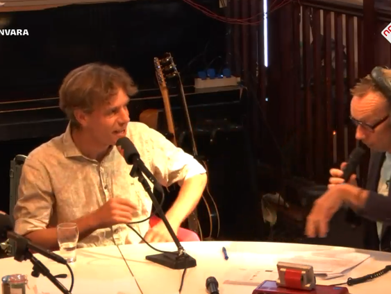 Pleidooi voor de wesp