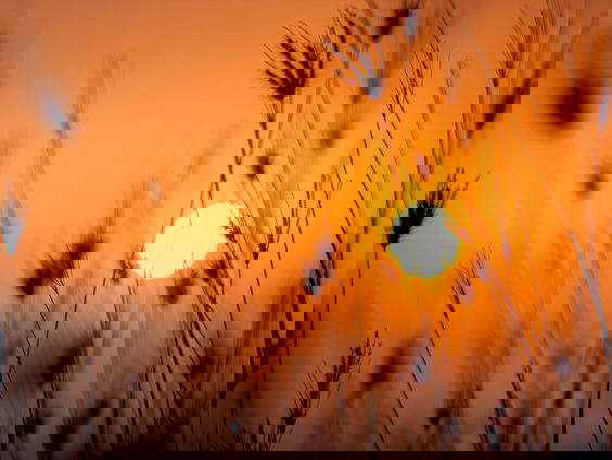 Lekkere Track: 'De dag heeft mooie plannen'