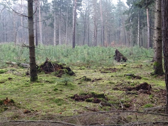 Kettingreactie 2 mei 2023