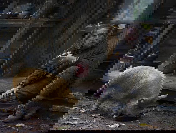 Opium filmtips: 'Pig'