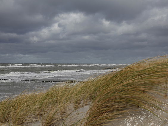 Kettingreactie 22 januari 2024