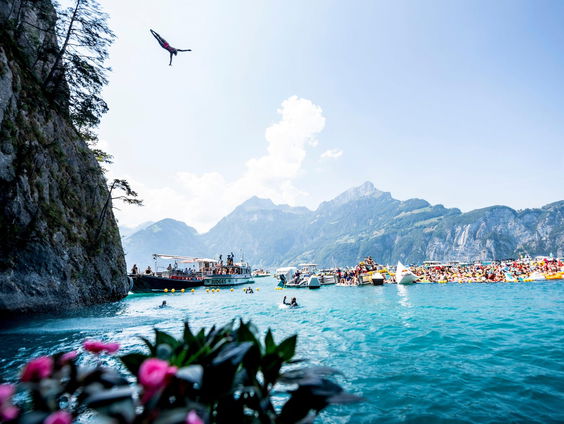 De dromenvanger, nr. 24: Klifduiken