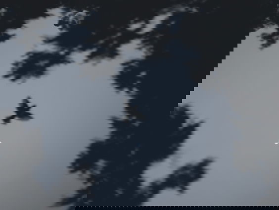 Stemtip 4: Nicola Piovani - Kaos