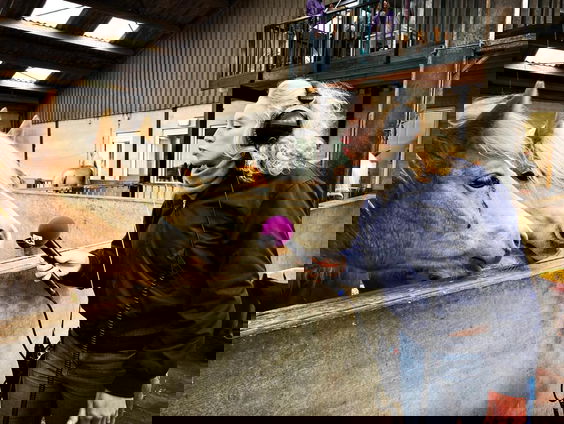 Lekkere Track: Lunchconcert op je werk