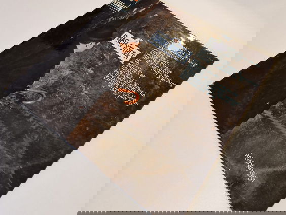 Plaatwerk #55: Bachstreet Boy