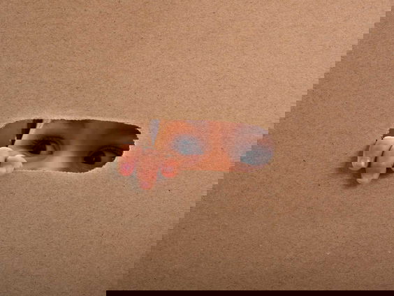 De dromenvanger, nr. 47: "Kijkdoos"