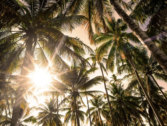 Kettingreactie 7 juli 2023