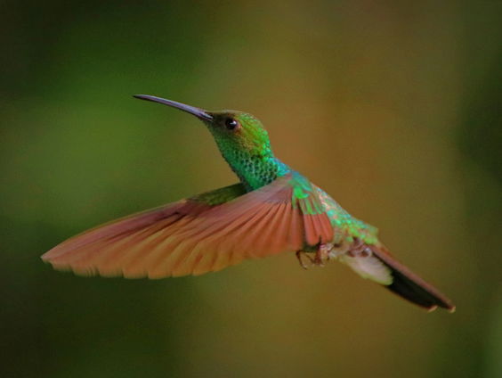 Kettingreactie 20 april 2023