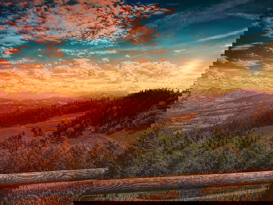 RadioReisDienst: violen met uitzicht