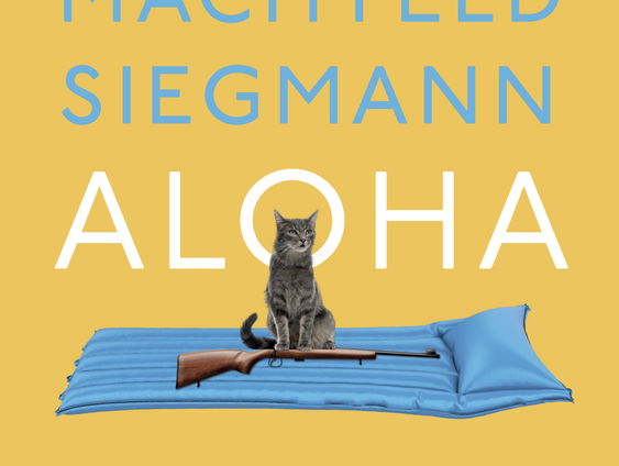 Het gesprek - Machteld Siegmann