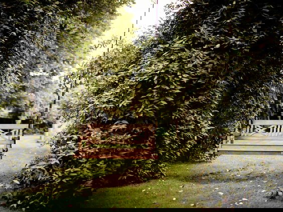 RadioReisDienst: Vakantie in eigen tuin