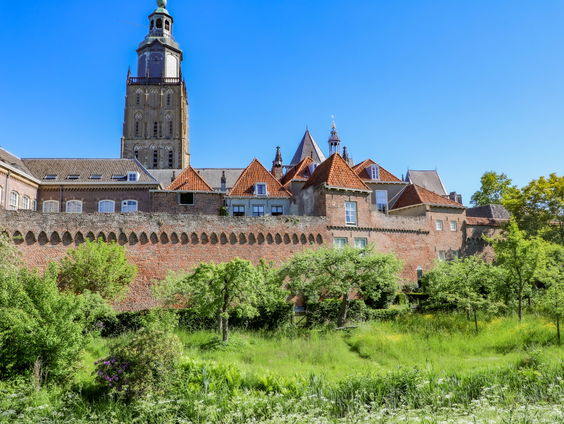 De dromenvanger, nr. 362: Tekst